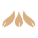 Mitten Coupon Codes